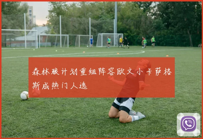 森林狼计划重组阵容欧文小卡萨格斯成热门人选